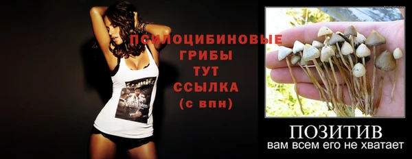 хмурый Грязи