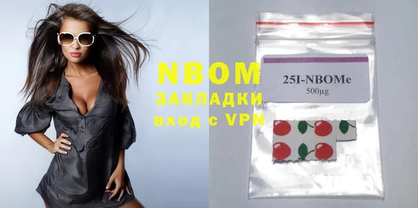 шишки Мегион