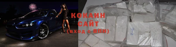 шишки Мегион