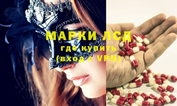 шишки Мегион