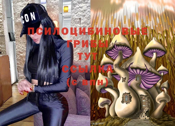 mdma Медногорск