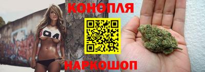 МДПВ Гусев