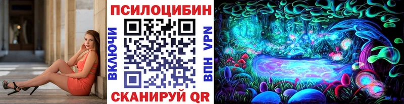 Псилоцибиновые грибы мухоморы omg как войти Карталы