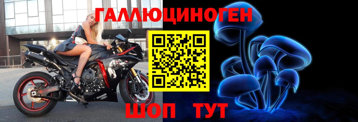 Псилоцибиновые грибы Psilocybine cubensis Карталы