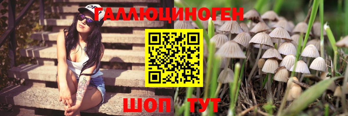 Карталы  Галлюциногенные грибы MAGIC MUSHROOMS  Вход с VPN 