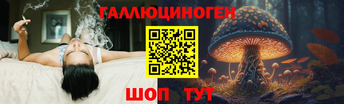 Галлюциногенные грибы Psilocybine cubensis Карталы